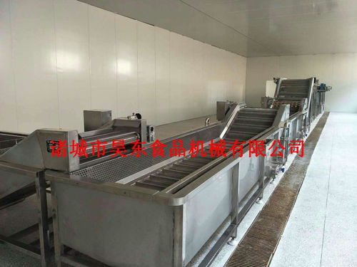 款式新穎救心菜清洗機(jī) 全304救心菜清洗設(shè)備價(jià)格,產(chǎn)品報(bào)價(jià)