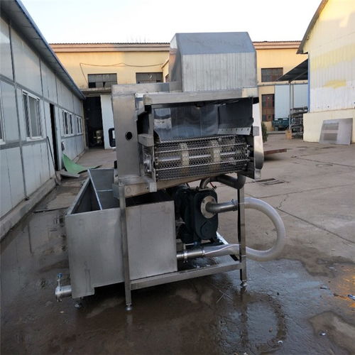 河北去泥機生產商高性價比的選擇 在線咨詢